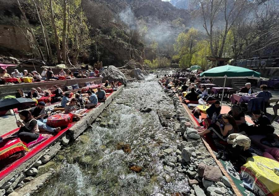 Ourika Valley Day trip: Hike, waterfall, lunch and Relax - The Argan Oil Stop: What You’ll Actually Do and See