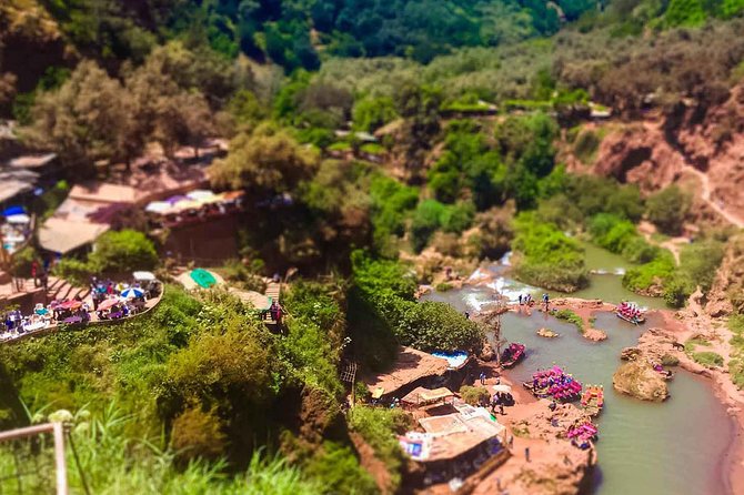 Ouzoud Waterfalls Guided Hike and Boat Trip from Marrakech - Monkeys at Ouzoud: how to enjoy them without turning it into chaos