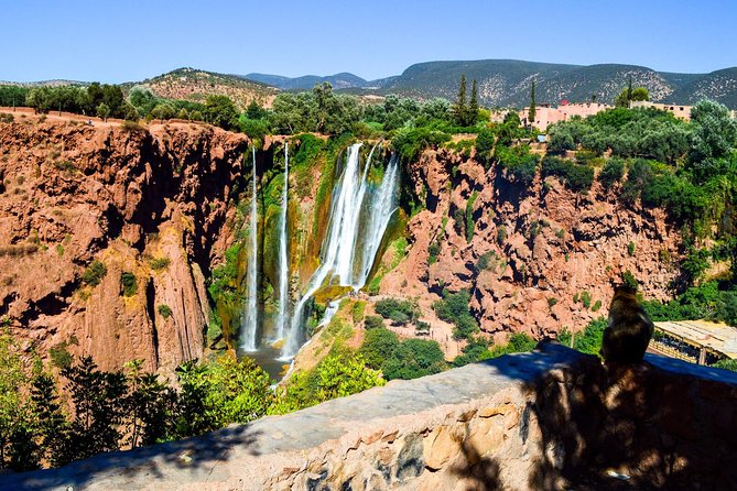 Ouzoud Waterfalls Guided Hike and Boat Trip from Marrakech - Price and value: what $29.92 buys in real terms