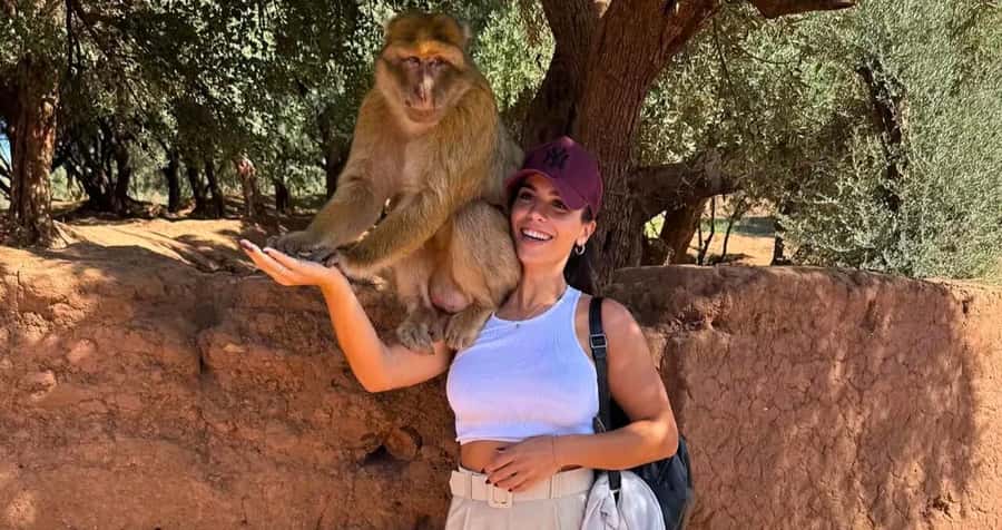 Ouzoud Waterfalls: Majestic Guided Hike and Adventure - Quick Take: What You’ll Remember