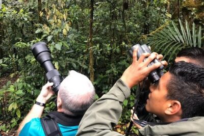 Package | Monteverde Cloud Forest + Curi-Cancha Reserve + Night Hike (Private) - Monteverde Cloud Forest: Clouds, Canopy Walks, and Quetzal Time