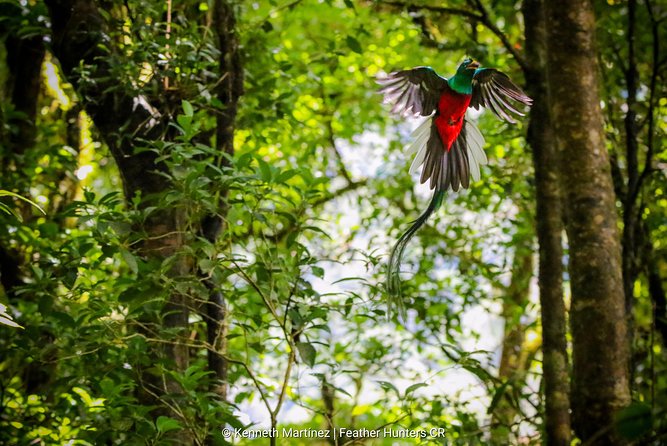 Package | Monteverde Cloud Forest + Curi-Cancha Reserve + Night Hike (Private) - What “Private” Really Gives You Here