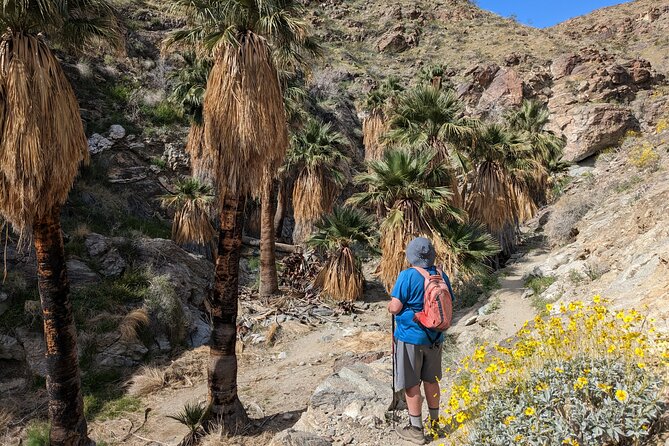 Palm Springs Hike to an Oasis and Amazing Desert Views - Palm Springs Oasis Hike: Key Things to Know Up Front