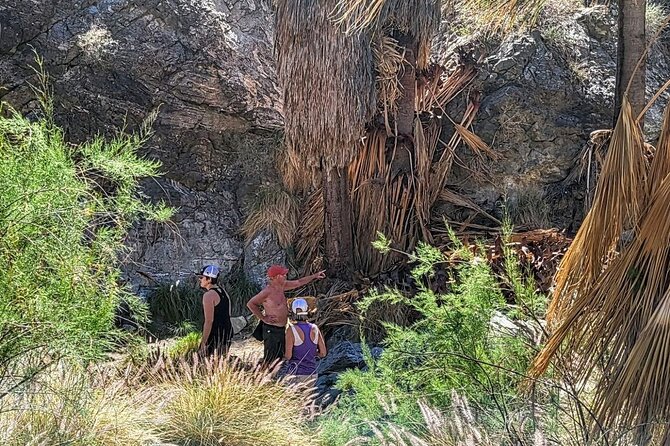 Palm Springs Hike to an Oasis and Amazing Desert Views - The Route: Views, a Hidden Canyon Oasis, and the Coachella Valley From Above