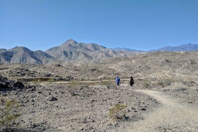Palm Springs Hike to an Oasis and Amazing Desert Views - How the Hike Actually Feels: Moderate Pace, Real Terrain