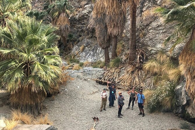 Palm Springs Hike to an Oasis and Amazing Desert Views - Desert Plants and Cahuilla Culture: More Than a Nature Walk
