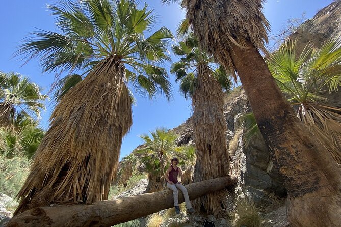 Palm Springs Hike to an Oasis and Amazing Desert Views - What to Wear and Bring (So the Rocks Don’t Win)