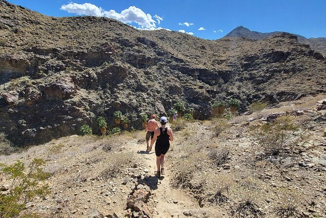Palm Springs Hike to an Oasis and Amazing Desert Views - Who Should Skip It (Or Ask First): Fitness, Health, and Pace Sensitivity