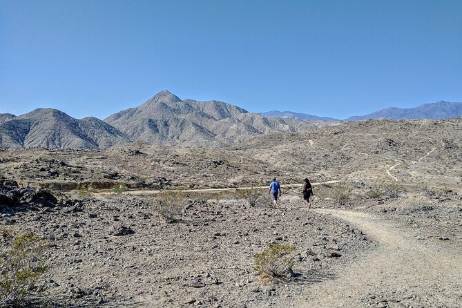 Palm Springs Hike to an Oasis and Amazing Desert Views - How the Hike Actually Feels: Moderate Pace, Real Terrain