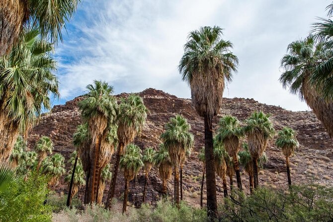 Palm Springs Indian Canyons Bike and Hike - Key Points at a Glance