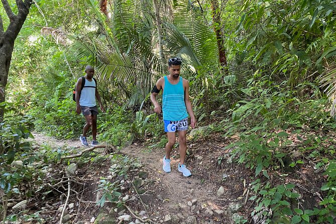 Palo María Waterfalls Hike Half-Day Tour - Price Check: Is $89.61 a Good Deal for This Kind of Hike?