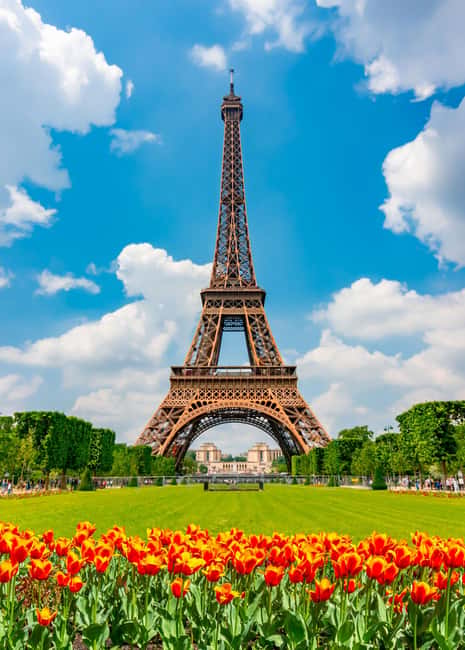 Paris: Eiffel Tower Guided Tour|Summit & second floor access - Second floor observation decks: big views with a smart payoff