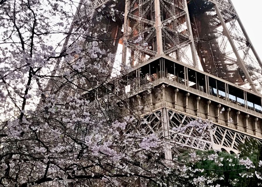 Paris: Eiffel Tower Guided Tour with Summit Access - Price and Value: Is $164 Actually Fair for Summit Access?