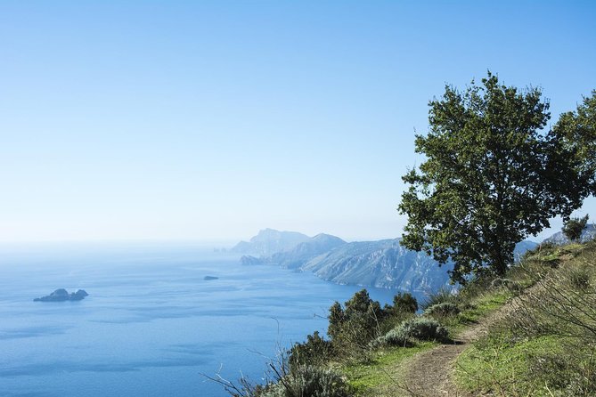 Path of the Gods Hiking Day Tour from Sorrento - Key things that make this tour work