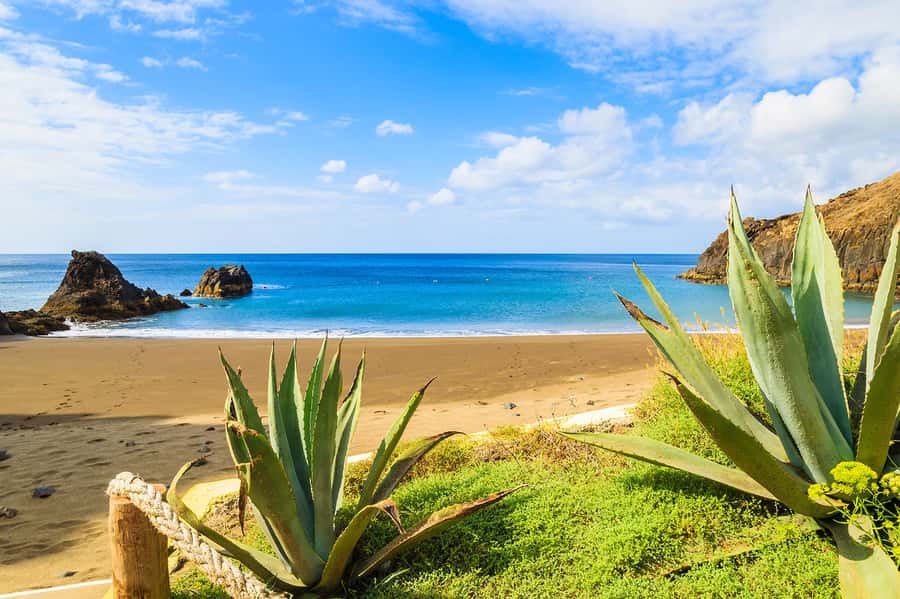 Pedra do Telégrafo Hike and Beach Full-Day Tour - Price and Value: What $56 Really Buys You