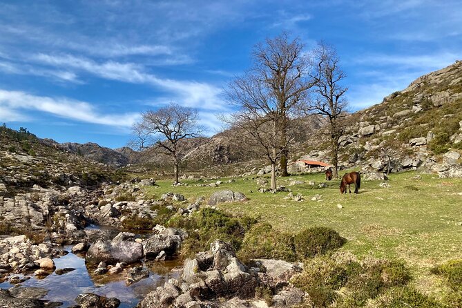Peneda-Gerês Hiking & Sightseeing: Private Experience - What to pack for all-weather hiking in Gerês