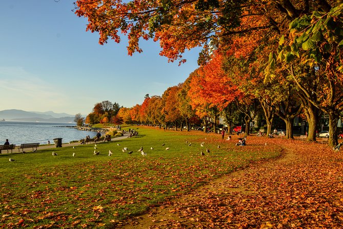 Photography & Hiking in Nature - Granville Island lunch: market energy and practical photo stops