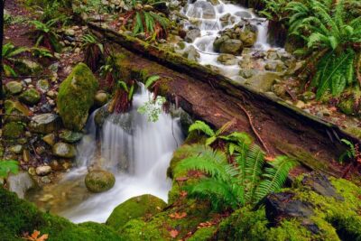 Photography & Intermediate Hiking - 3 Hours of Trail Time: Turning Walks Into Better Photos