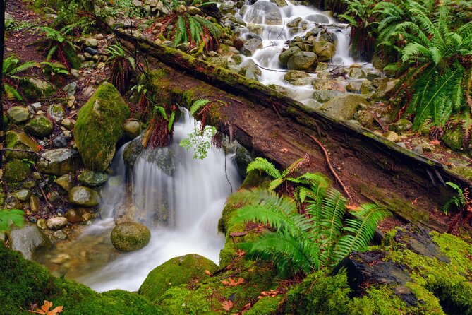 Photography & Intermediate Hiking - 3 Hours of Trail Time: Turning Walks Into Better Photos
