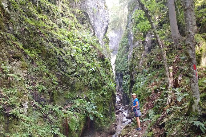 Piatra Craiului National Park Private Hiking Tour from Brasov - Lunch time: included as a stop, not as a full meal plan