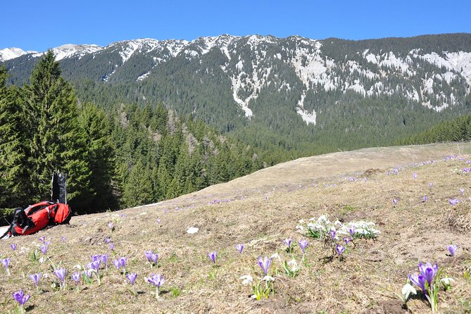 Piatra Craiului National Park Private Hiking Tour from Brasov - Sheep farm detour in summer (June–September)