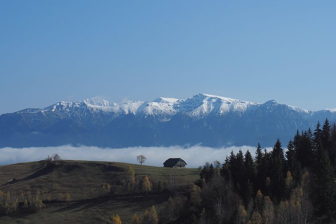 Piatra Craiului National Park Private Hiking Tour from Brasov - The guides make the difference: energy, safety, and real stories