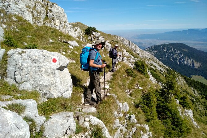 Piatra Craiului National Park Private Hiking Tour from Brasov - Price and value: what $126.98 really buys