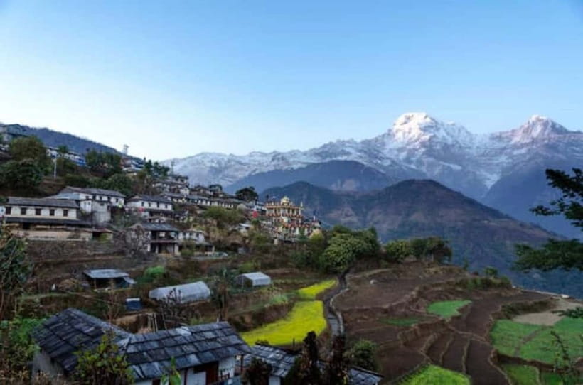 Pokhara: Annapurna Foothills Day Hike with Transfers - Dhampus Down to Phedi/Ghattekhola: Forest Steps and Terraced Farmlands