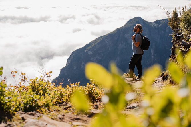 PR1 Sunrise Pico do Arieiro Self-Guided Hiking Transfer - Price and what you really get for $39.92