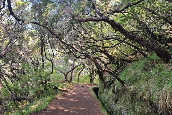 PR6 & PR6.1 25 Fontes & Risco Levada Self-Guided Hiking Rabaçal - Key Highlights You’ll Feel Right Away