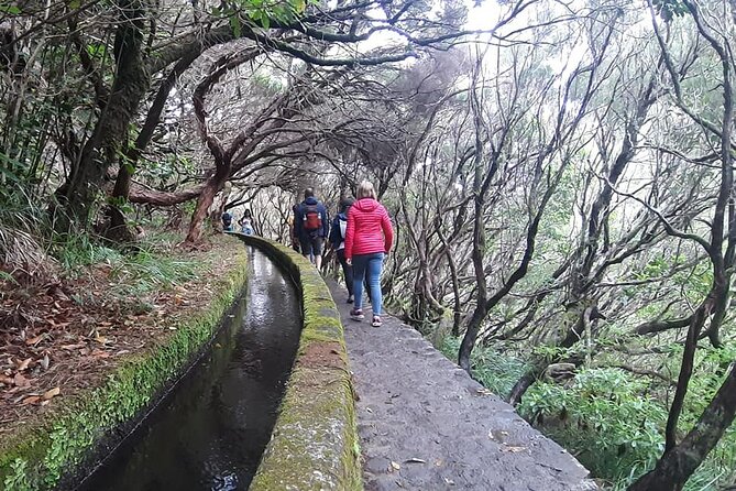 PR6 & PR6.1 25 Fontes & Risco Levada Self-Guided Hiking Rabaçal - Timing and Crowds: Why a 6 a.m. Start Changes the Whole Day