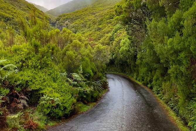 PR6 & PR6.1 25 Fontes & Risco Levada Self-Guided Hiking Rabaçal - Who Should Book This (and Who Should Skip It)