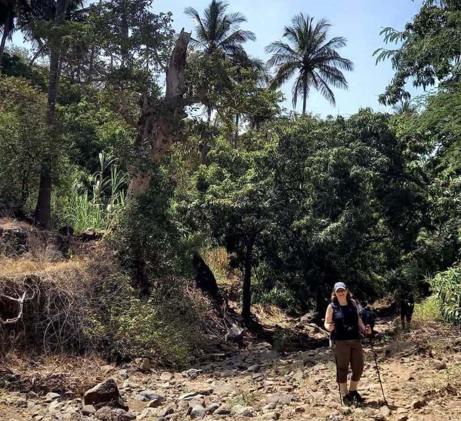 Praia: Baobab Mysterious Tree, Green Valley & Old City Hike - Baobab Mysterious Tree: why this 400-year stop is the headline