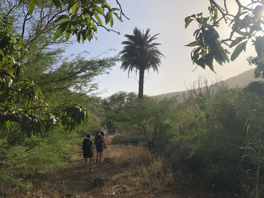 Praia: Baobab Mysterious Tree, Green Valley & Old City Hike - Birds, fruit, and farming talk: the green valley part you’ll remember