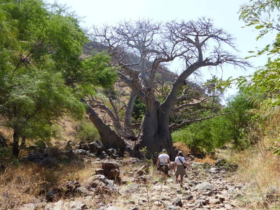 Praia: Baobab Mysterious Tree, Green Valley & Old City Hike - Arriving in Cidade Velha: the World Heritage finish that makes it worth it
