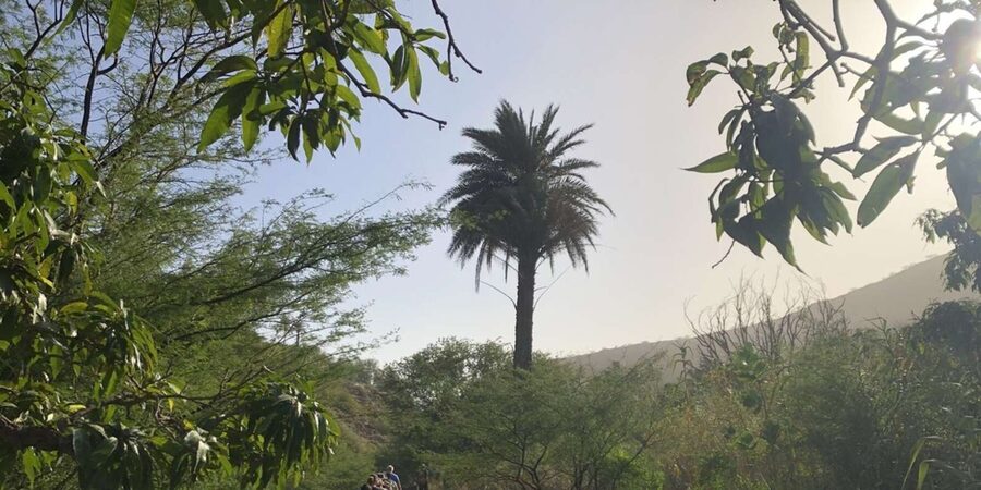Praia: Baobab Mysterious Tree, Green Valley & Old City Hike - Price and value: is $53 worth it?
