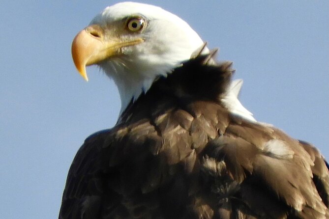 Private Birding Hike in Rocky Mountain National Park - Price and value: $700 for up to 4 people