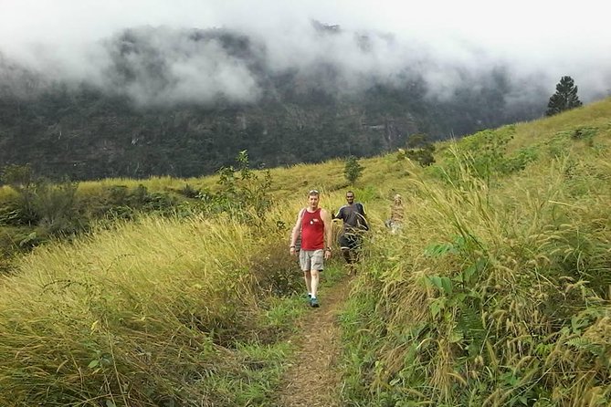 Private Breathtaking Koroyanitu Half Day Waterfall Hike - Key highlights at a glance