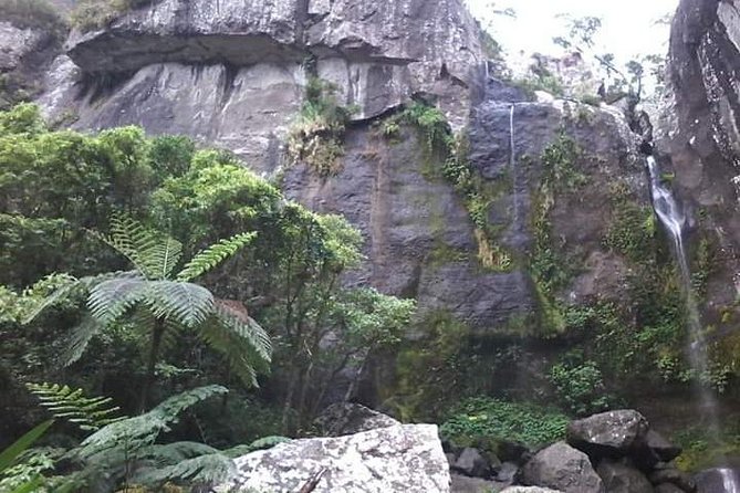 Private Breathtaking Koroyanitu Half Day Waterfall Hike - Why Koroyanitu Waterfalls Beat Yet Another Beach Day