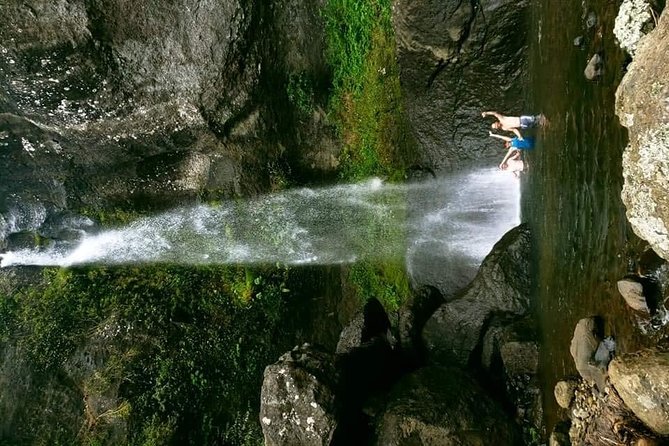 Private Breathtaking Koroyanitu Half Day Waterfall Hike - What the village lunch really adds (and how to enjoy it)