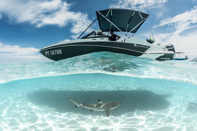 Private Day Trip Hike and Boat in Moorea - Opunohu area break: a full local meal on the motu
