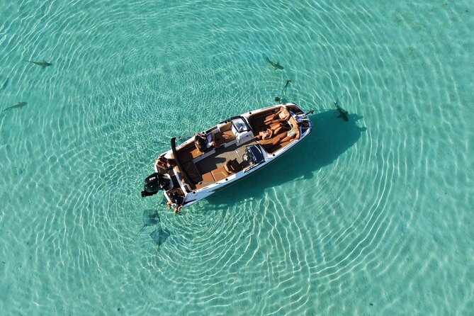 Private Day Trip Hike and Boat in Moorea - Wildlife you can hope for: rays, sharks, turtles, dolphins, and whales in season