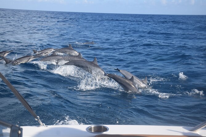 Private Day Trip Hike and Boat in Moorea - Who this tour suits best (and who might skip it)