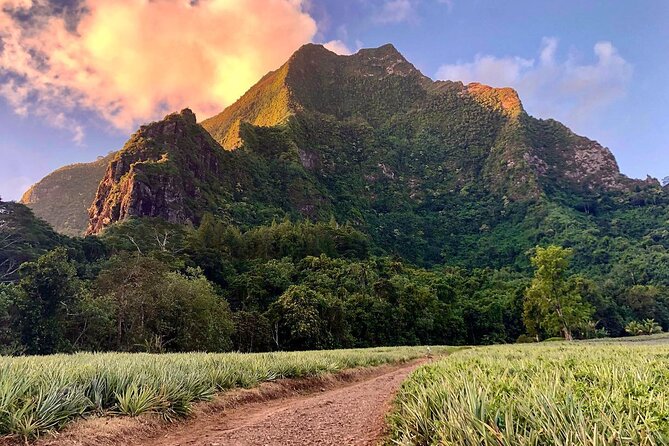 Private Day Trip Hike and Boat in Moorea - The morning hike: ancestor trail, pineapple fields, and the 3 Pinus