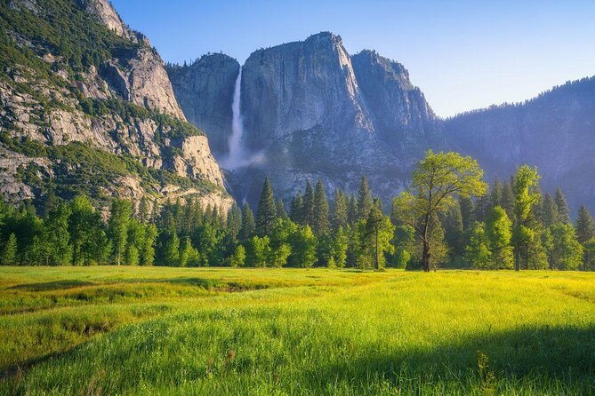 Private Family Hike in Yosemite - Key highlights worth planning for