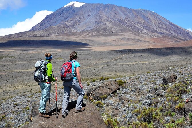 Private Full Day Hiking Experience to Marangu Route - Arusha pickup and the Marangu Gate start: less chaos, more hiking