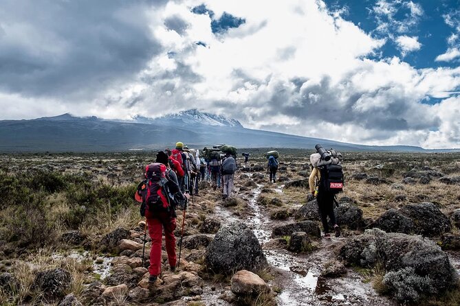 Private Full Day Hiking Experience to Marangu Route - The Mandara Hut rest and slow descent: where the day gets real