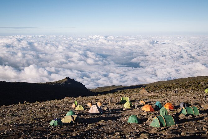 Private Full Day Hiking Experience to Marangu Route - Getting back to Arusha: the ride, the beer, and the let-down-proof finish