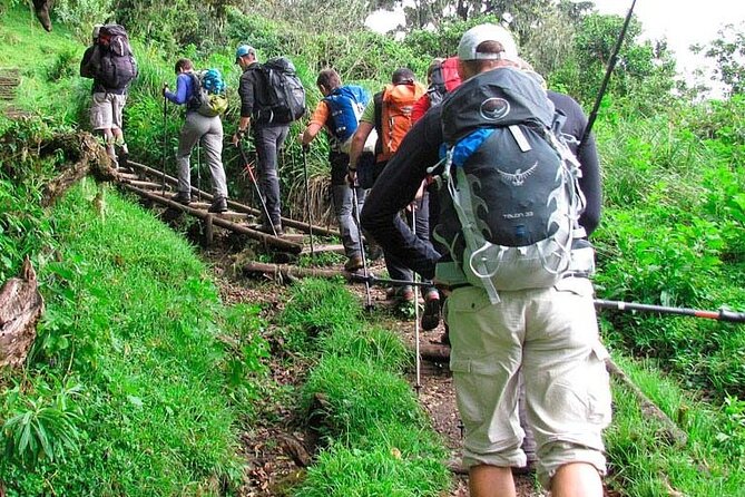 Private Full Day Hiking Experience to Marangu Route - Price and value: is $260 worth it for 7 hours on Kilimanjaro?