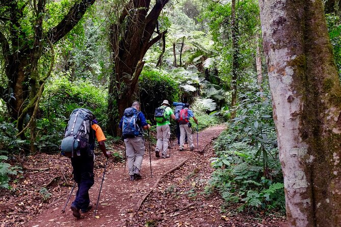 Private Full Day Hiking Experience to Marangu Route - What to bring so your day doesn’t get derailed